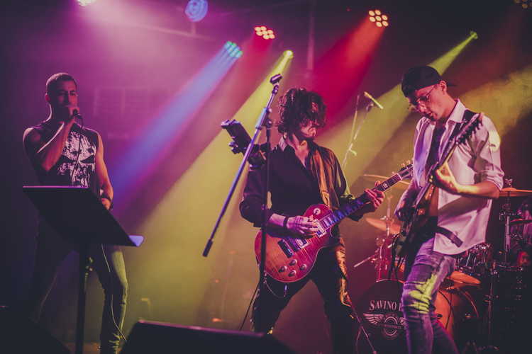 Don Canyon - The band