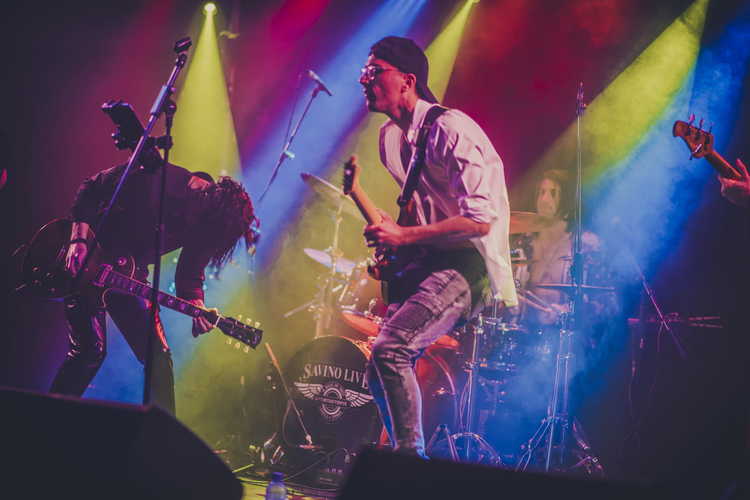 Don Canyon - The band