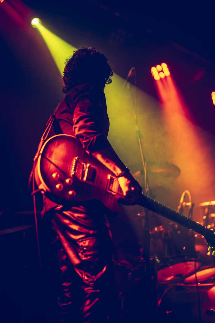 Don Canyon - The band