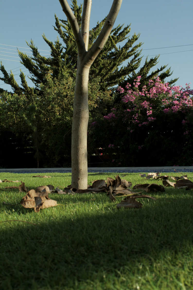 Soundscape Studios - Accommodation garden Soundscape Studios - Accommodation garden