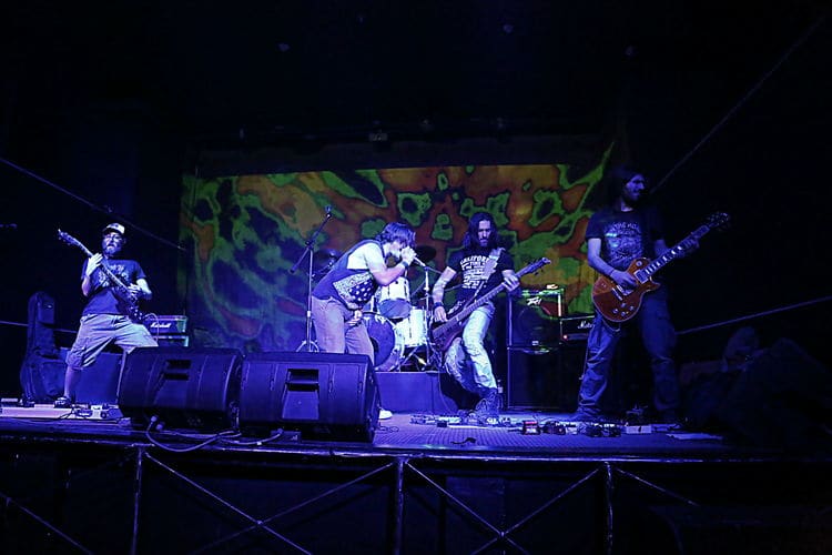 Grande Fox - Live performance Grande Fox - Live performance