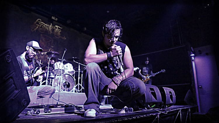 Grande Fox - Live performance Grande Fox - Live performance